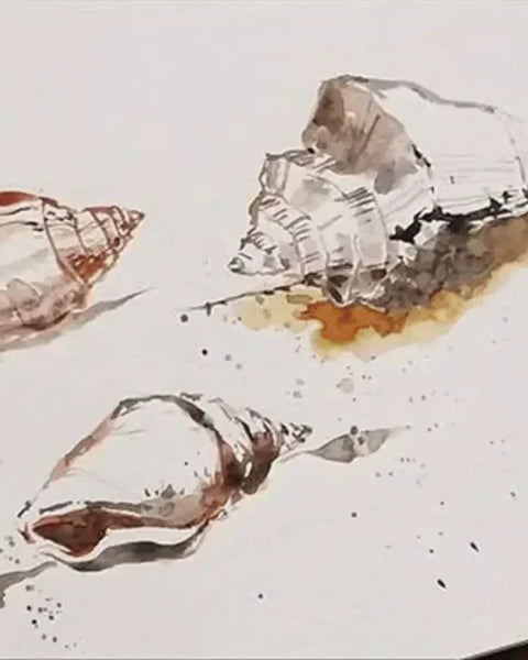 How to Draw a Shell? Unleash Your Creativity here!