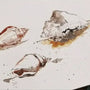 How to Draw a Shell? Unleash Your Creativity here!