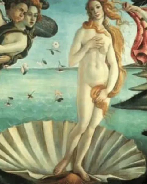 shells-meaning