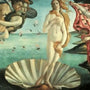 shells-meaning