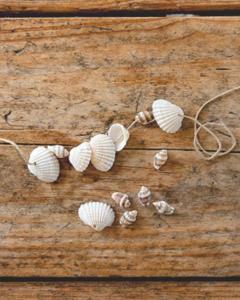 Everything You Need to Know About Chic Shell Jewelry