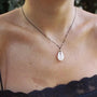 Black cord necklace with White Cauri