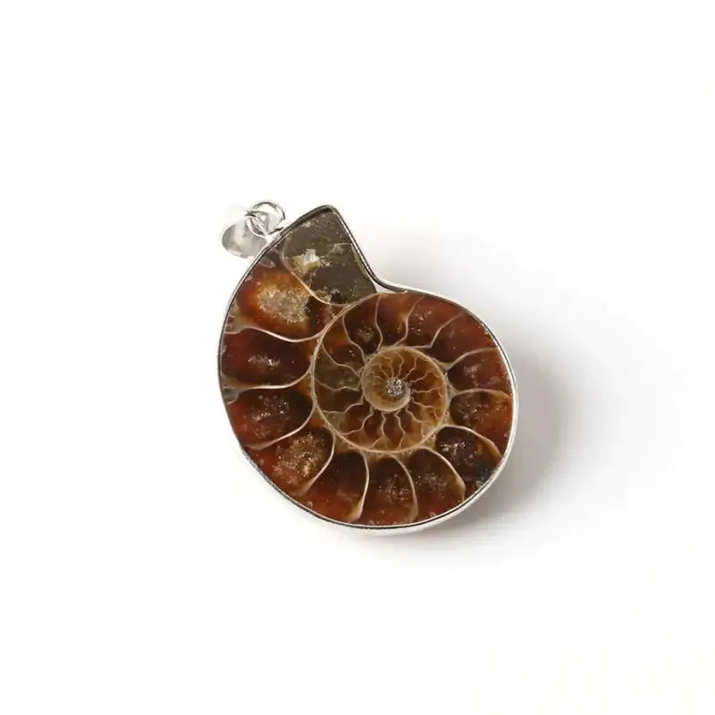 Seashell Fossils Pendant-Shell Charms-shell jewelry-shell pendants-boho chic style-bohemian jewelry-beach outfit jewelry