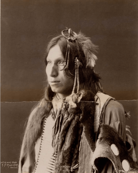 The Cultural and Historical Role of Shells in Native American Societies