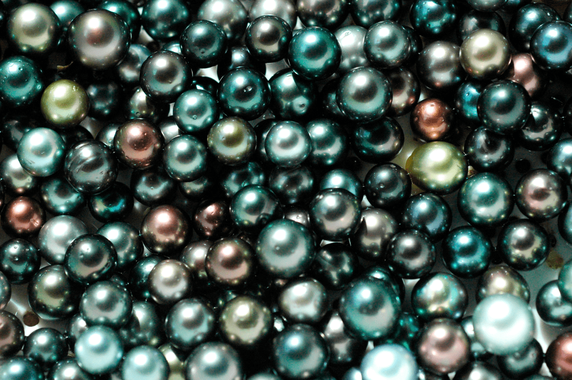 Tahitian Black Pearls: Beauty, Value, and Symbolism Explained – ShellVibe©