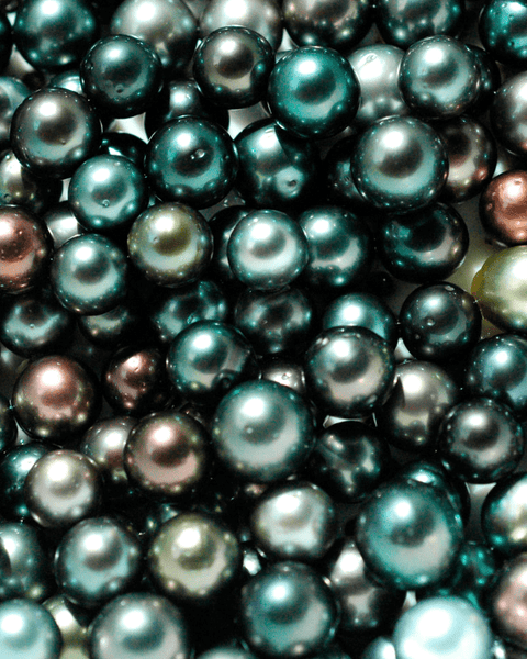 Tahitian Black Pearls: Beauty, Value, and Symbolism Explained