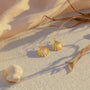 Shell Earrings in Gold: The Coastal Glamour Guide for Ocean-Loving Souls