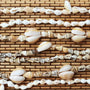Tahitian Shell Necklace Meanings