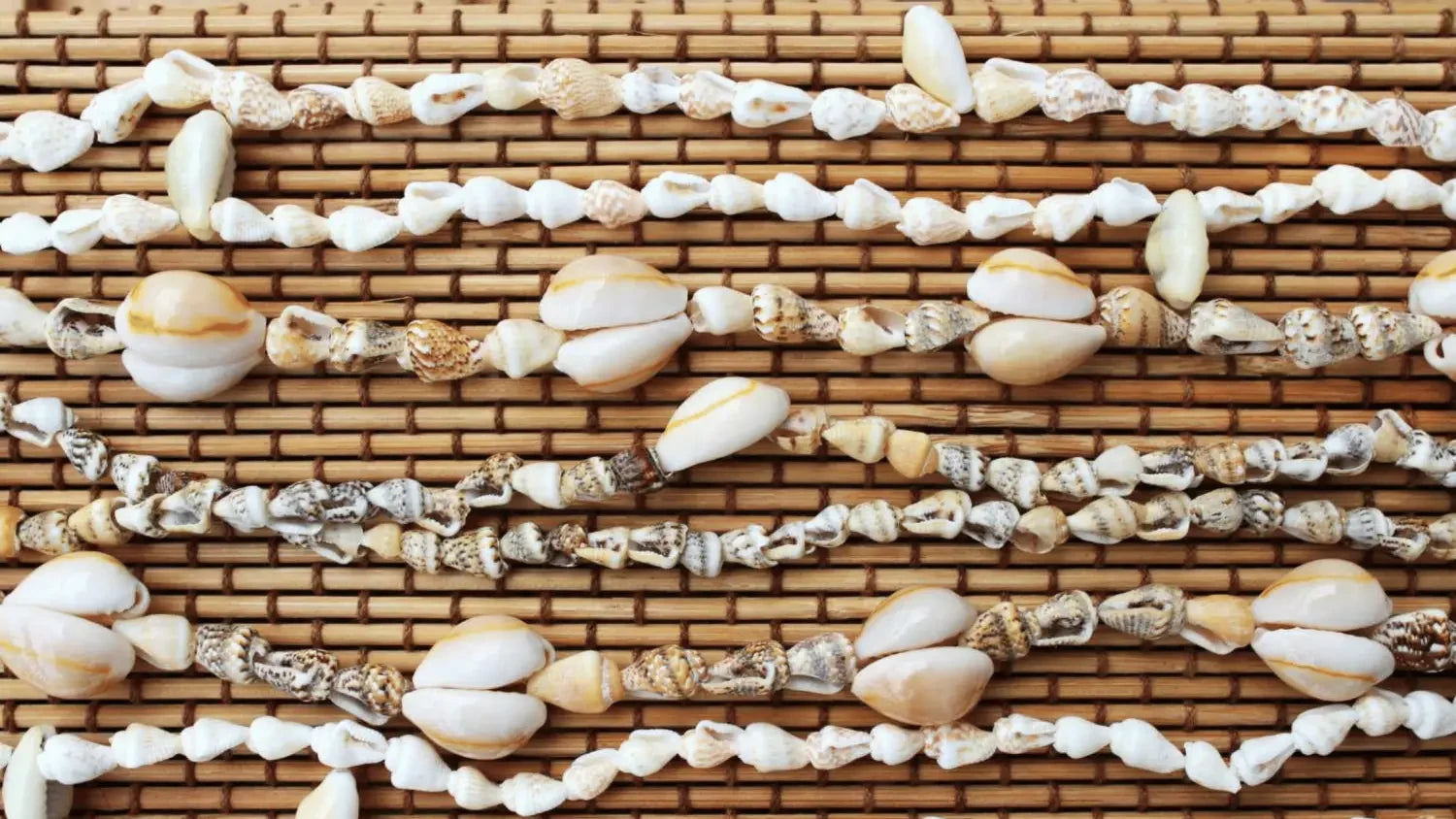 Tahitian Shell Necklace Meanings