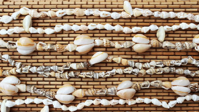 Tahitian Shell Necklaces: Meanings & Symbolism