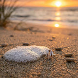 Sterling silver cowrie Shell ring on a beach with a sunset in the background