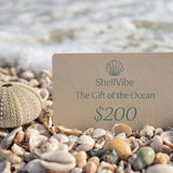 ShellVibe gift card on pebbles with ocean in the background