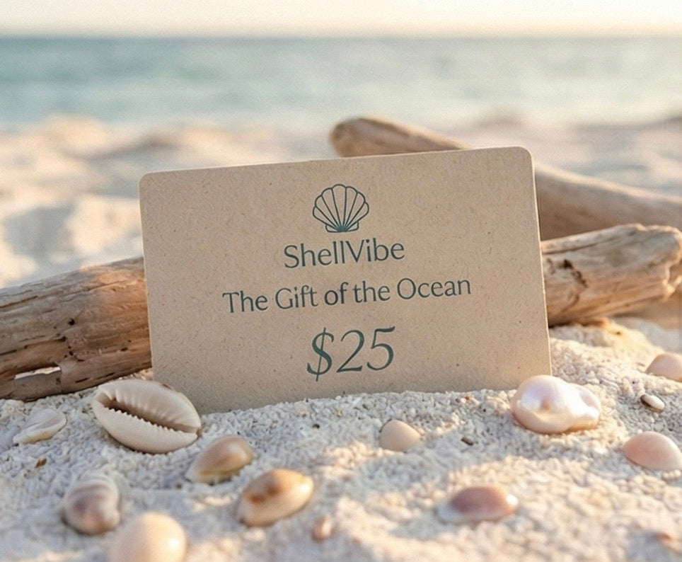 ShellVibe gift card on a beach with seashells and driftwood