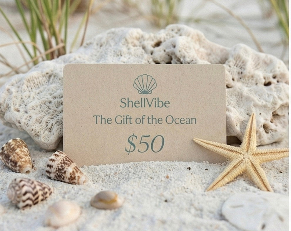 ShellVibe gift card for $50 on a sandy beach with shells and a starfish.