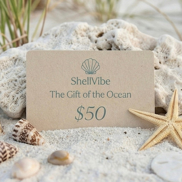 ShellVibe gift card for $50 on a sandy beach with shells and a starfish.