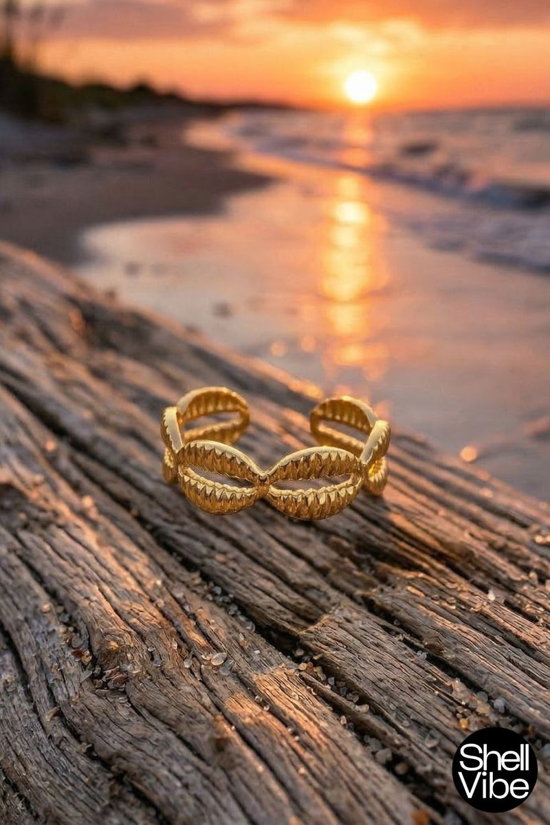 gold cowrie ring  on driftwood with a sunset over water in the background