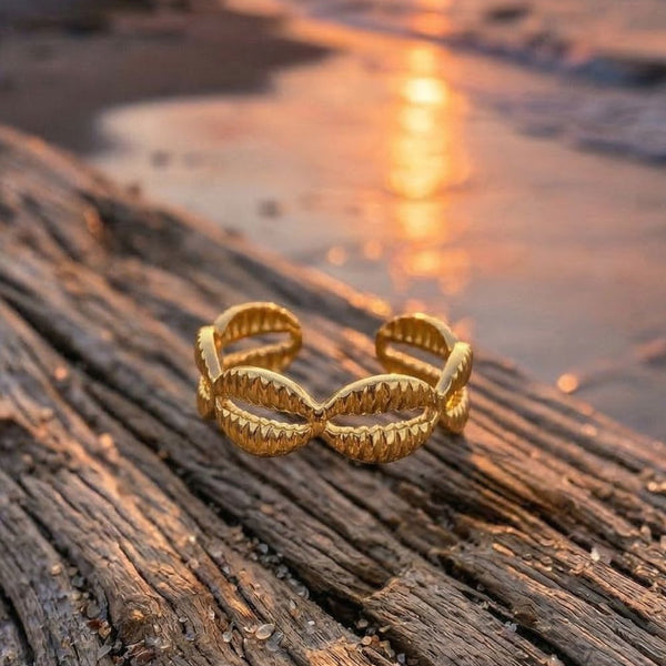 gold cowrie ring  on driftwood with a sunset over water in the background