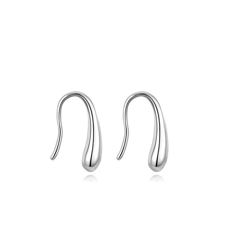 Pair of silver drop earrings on a white background