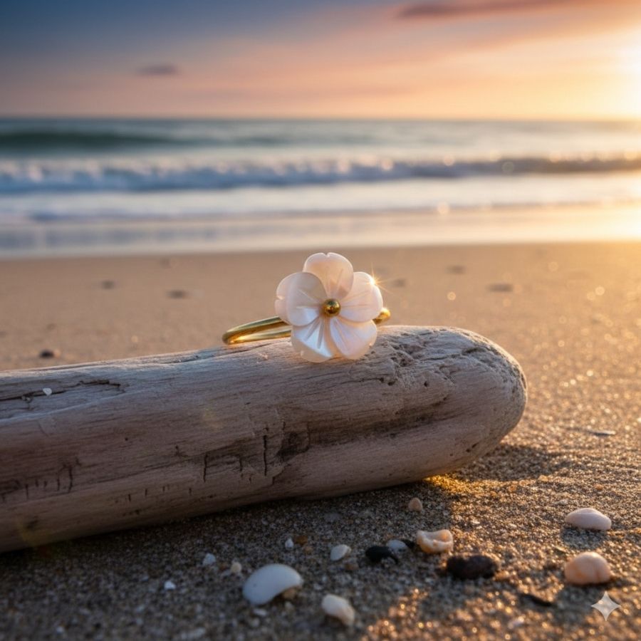 bloom nacre ring on a drift wood on the beach at sunset.