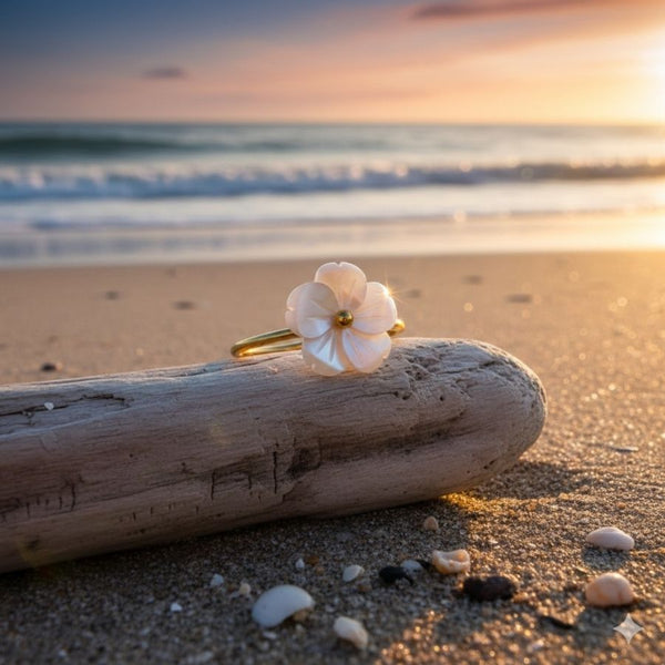 bloom nacre ring on a drift wood on the beach at sunset.