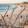 Cowrie Shell and bead earrings hanging from branches on a beach