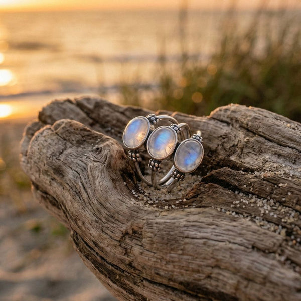 Three moonstone rings on a piece of driftwood with a sunset beach background