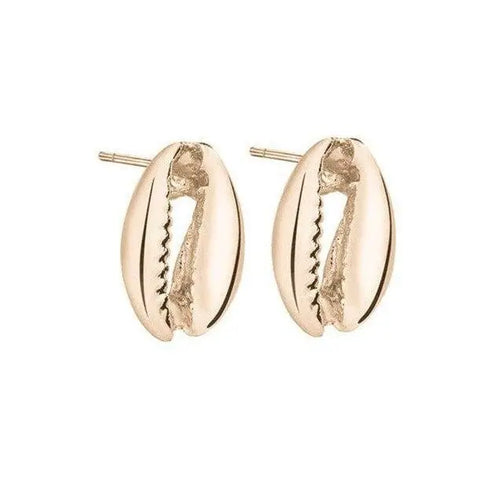 Gold Cowrie Shell Earrings