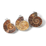 Seashell Fossils Pendant-Shell Charms-shell jewelry-shell pendants-boho chic style-bohemian jewelry-beach outfit jewelry 
