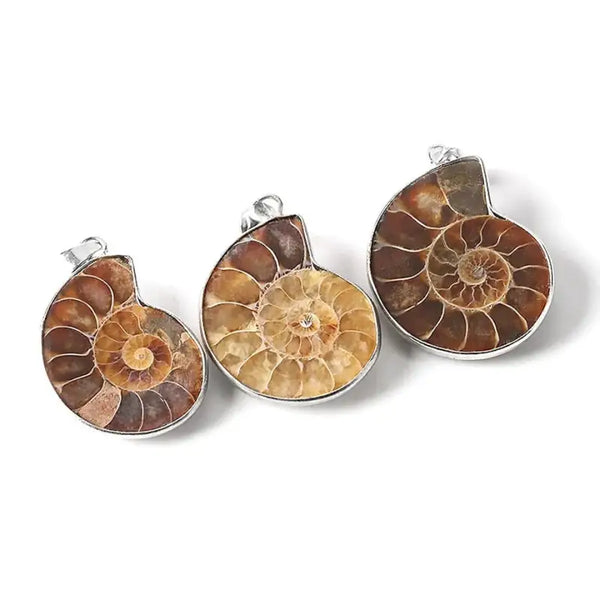 Seashell Fossils Pendant-Shell Charms-shell jewelry-shell pendants-boho chic style-bohemian jewelry-beach outfit jewelry