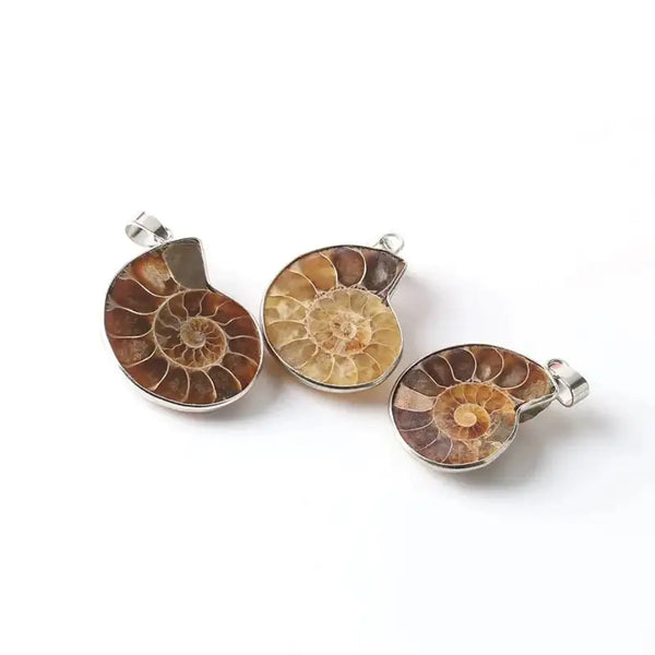 Seashell Fossils Pendant-Shell Charms-shell jewelry-shell pendants-boho chic style-bohemian jewelry-beach outfit jewelry 
